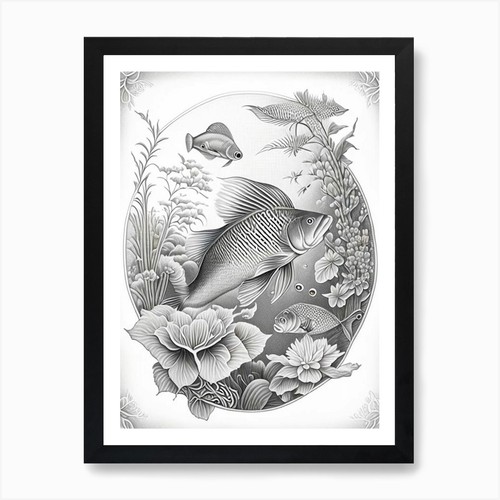 Tancho koi fish - koi, haeckel
