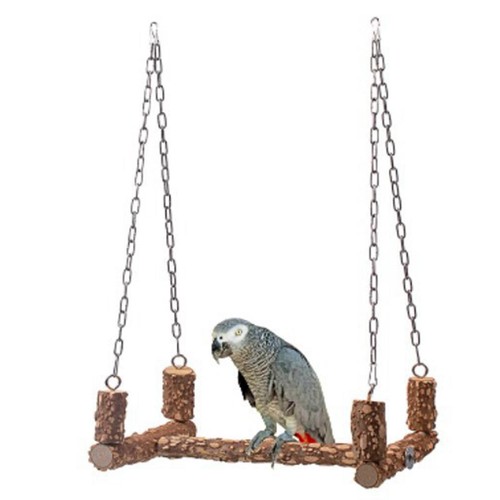 Perroquet support bois - perroquet, en