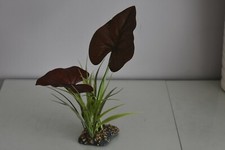 Terrarium Vivarium Large