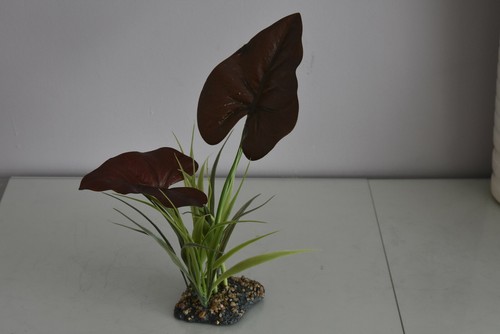 Terrarium vivarium large - vivarium,