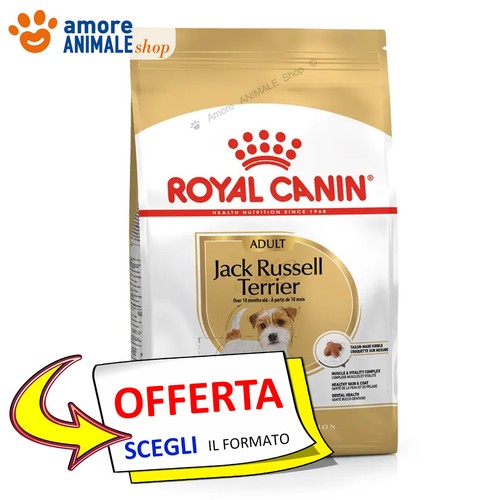 Royal canin chien adulte - chien, →