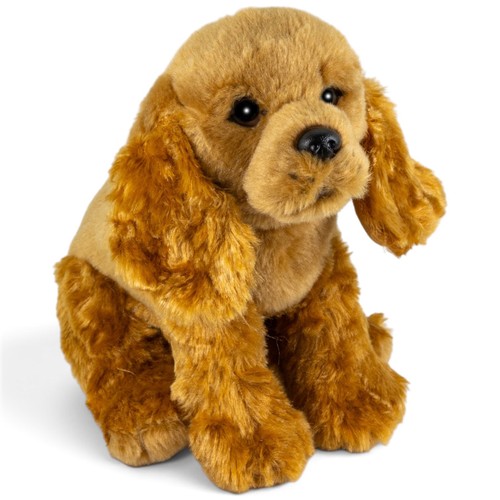 Carl dick cocker spaniel assis - dick,