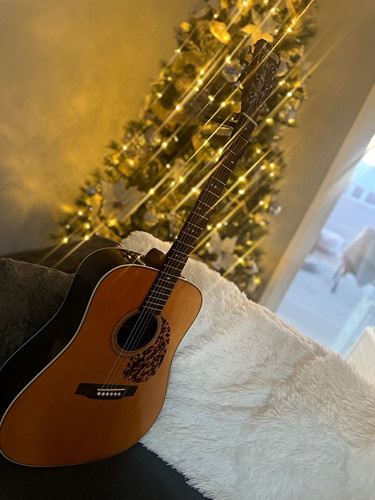 Blueridge 160 dreadnought - blueridge,
