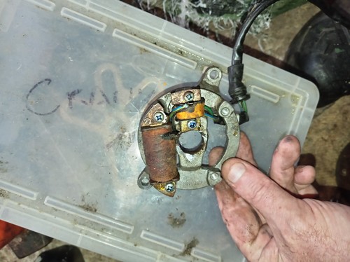 Honda stator - qr, 50