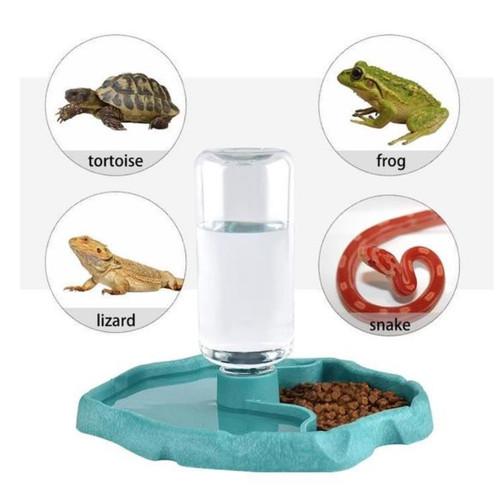 Distributeur eau pour - distributeur,