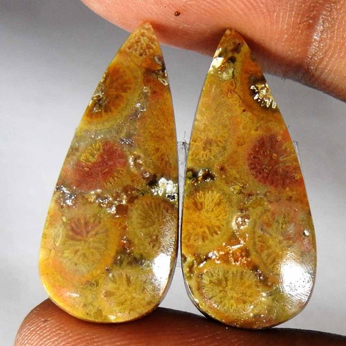 Paire poires corail fossile - de,