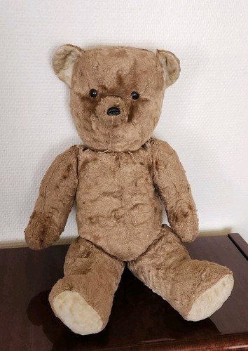 Grand ours ancien - 🧸grand,