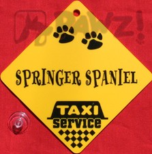 SHIH TZU Dog Taxi Service Car
