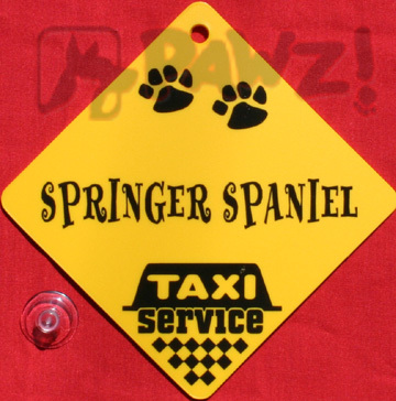Shih tzu dog taxi service - tzu,
