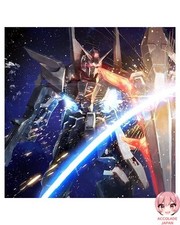 Mobile Suit Gundam : disque