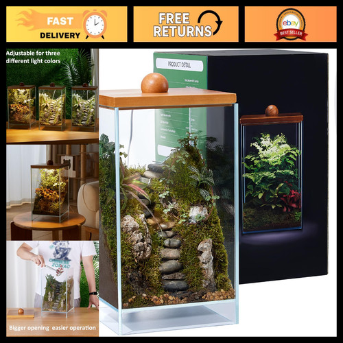 Large glass plant terrarium - glass,