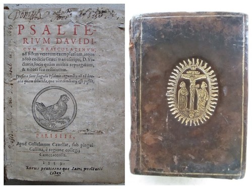 Psalterium davidicum - psalterium,