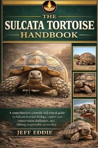 Jeff eddie the sulcata - eddie,