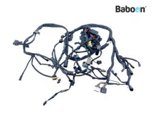 Faisceau de câblage