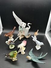 Superbe Lot 8 Oiseaux