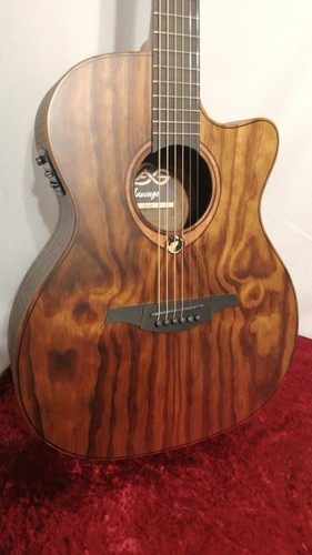 Guitare acoustique électrique - guitare, acoustique-électrique