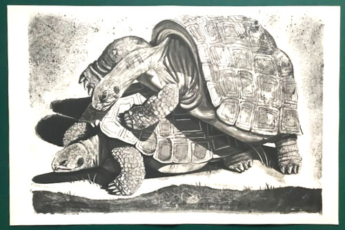 Grande illustration