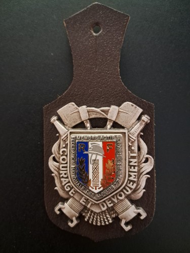 Insigne sapeurs pompiers - sapeurs,