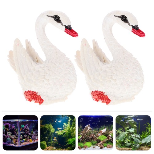 Paire cygne blanc - paire,