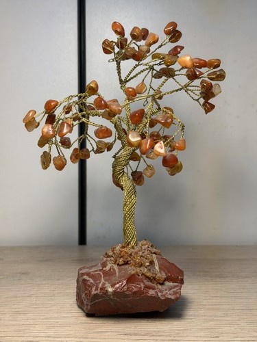 Arbre vie bonsaï - de,