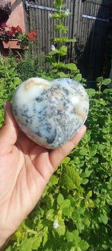 244g cœur opale fougère - en,