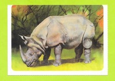 Sheet - Mickey's Diary - No. 45 - The Unicorn Rhino of India