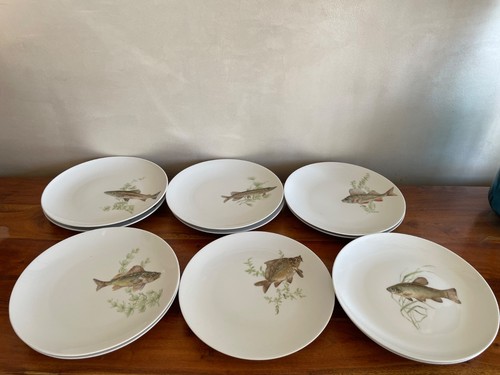 Assiettes en - 🐟,