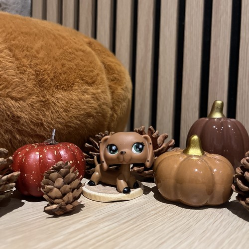 Lps littlest pet - 🌸lps, shop