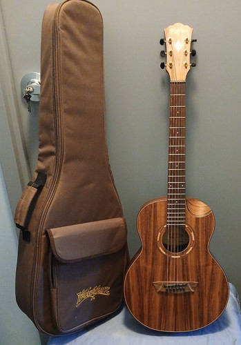 Washburn koa wcgm55k comfort - washburn, wcgm55k-d