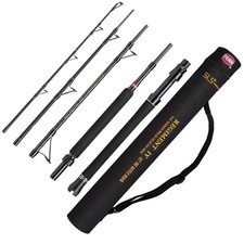 Canne de voyage de pêche en