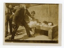 PHOTO SNAPSHOT failed error mistake, on a bench puppy dog dog man moved blur