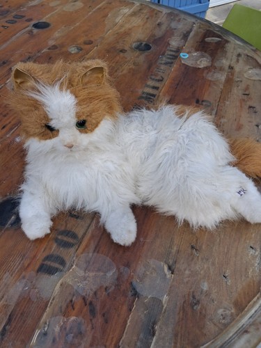 Chat automate robot peluche - automate,