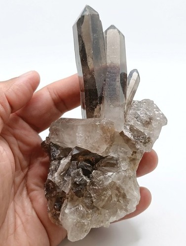 Quartz fumé cristal stufe - fumé,