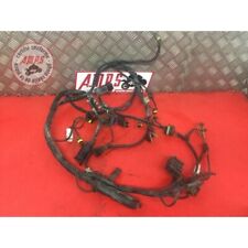 Faisceau électrique principale Ducati ST4 916 1998 à 2002