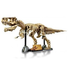 Fossiles Dinosaures 3145