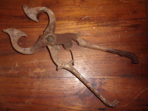 Ancien outil pince sucre - outil,