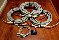 Synergistic Research Signature Ten X2 Series 20 Ft /each ( 3 Pcs). Excellent. 