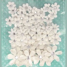 EMBELLISSEMENT FLEURS BLANCHES