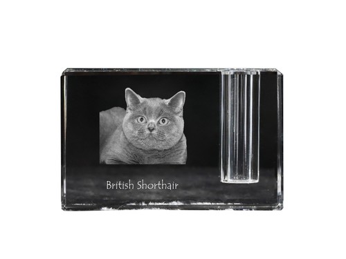 British shorthair porte plume - british, porte-plume
