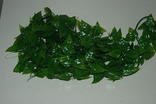 Vivarium Réaliste Grand Jungle Plante Philodendron Suspendu Vigne Environ 60 CM