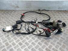 Honda PANTHEON 125 (2003-2008) Wiring Loom