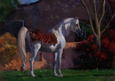 joli cheval blanc moderne