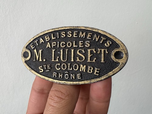 Luiset ste colombe - colombe,
