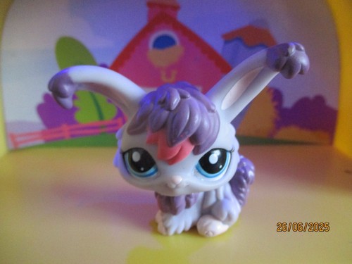 Petshop lapin angora - petshop,