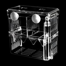 Aquarium Élevage Boîte Disolement1 Pièces Boîte Délevage de Poissons Acryliqu...