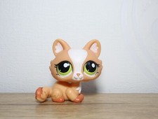 Littlest petshop cat sphynx - littlest,