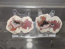 CRIS 30 N OLD STOCK PAIRE DE LITHOPHYSE DOUBLE POLIE MASSIF DE L'ESTEREL VAR