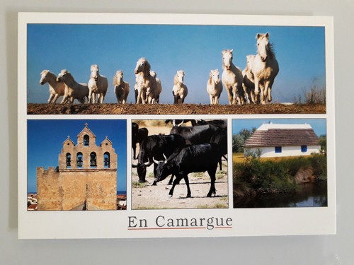 Carte postale camargue au - en, camargue-