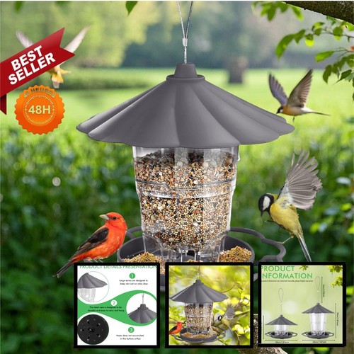 Mangeoire oiseaux suspendue - oiseaux,