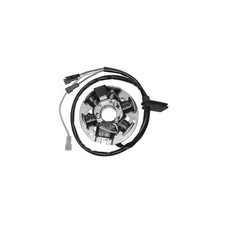 Stator Ducati Energia 6 Poli Peugeot XR6 E 50 2003 2007